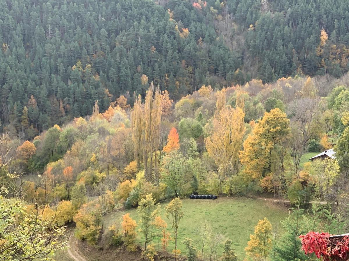 Casa Rural Pirineu Neva Exteriér fotografie